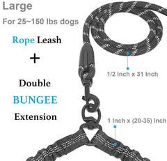 iYoShop leash features a tangle-free design for dogs moving in sync.