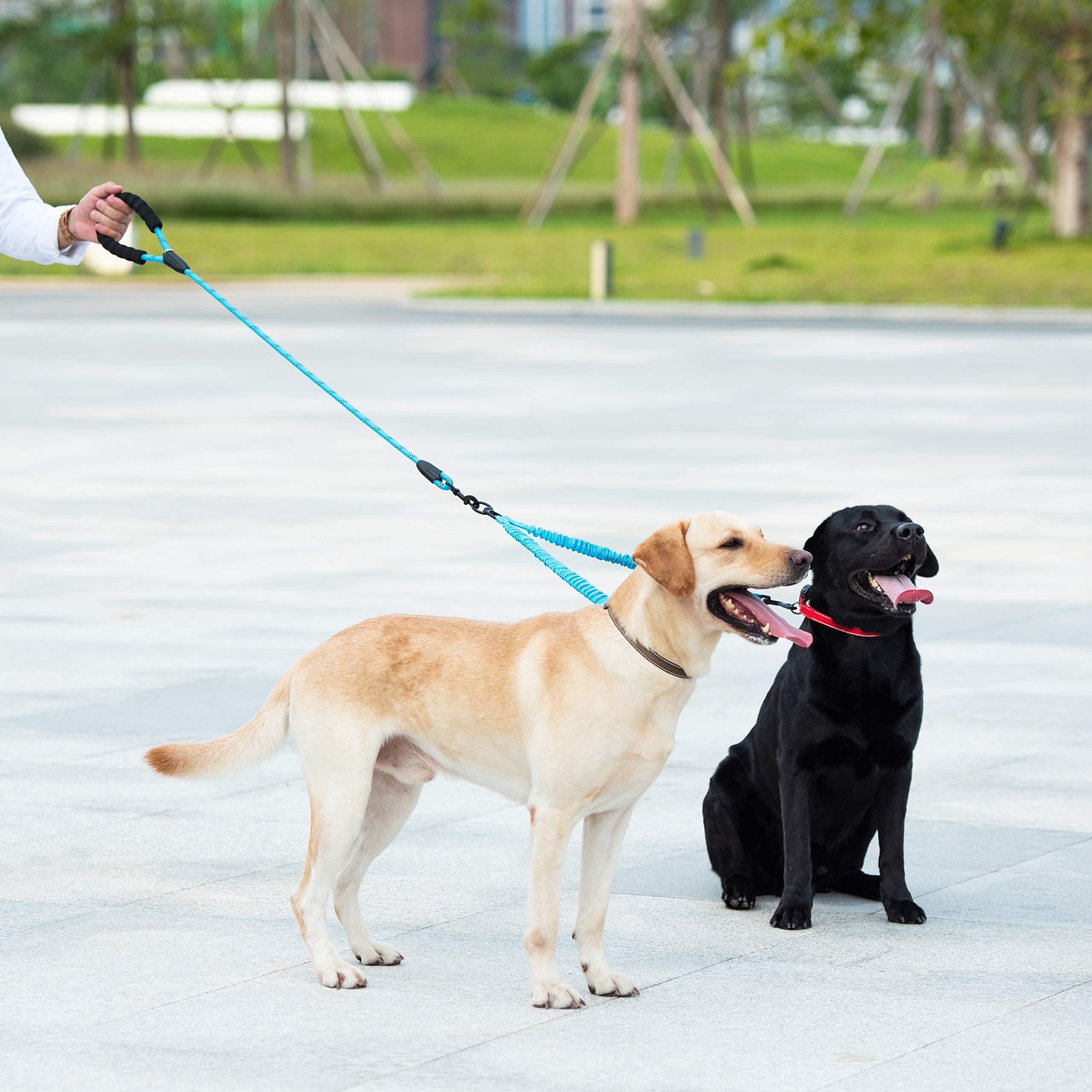 iYoShop Dual Dog Leash ideal for two-dog walks, offering hands-free control and freedom