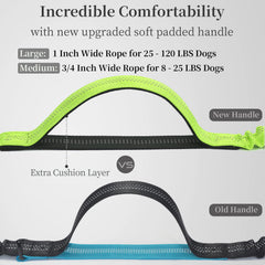 iyoshop durable clip and D-ring enhance safety and training accessory attachment