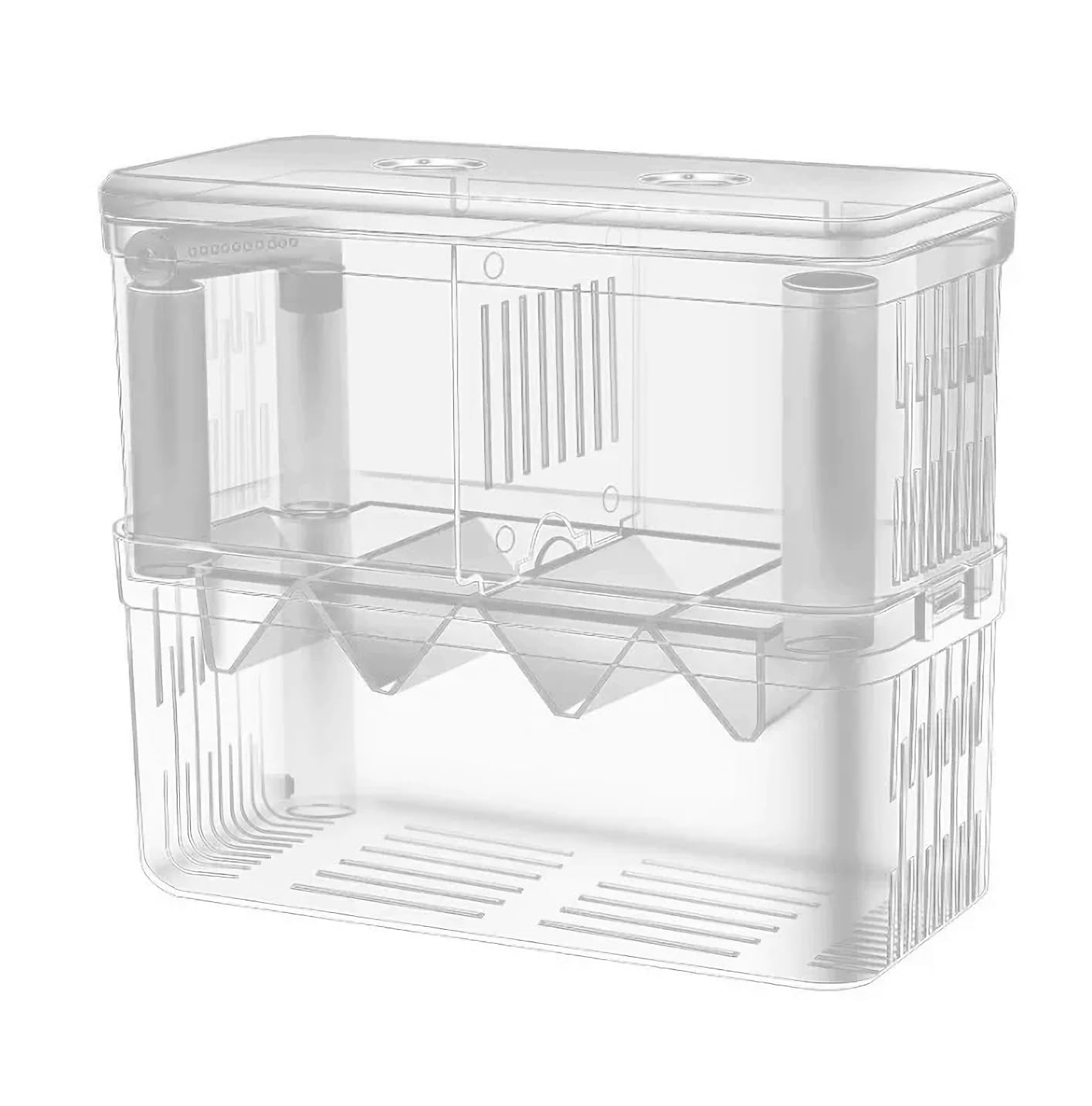 J-star isolation box on aquarium side view for easy fry observation