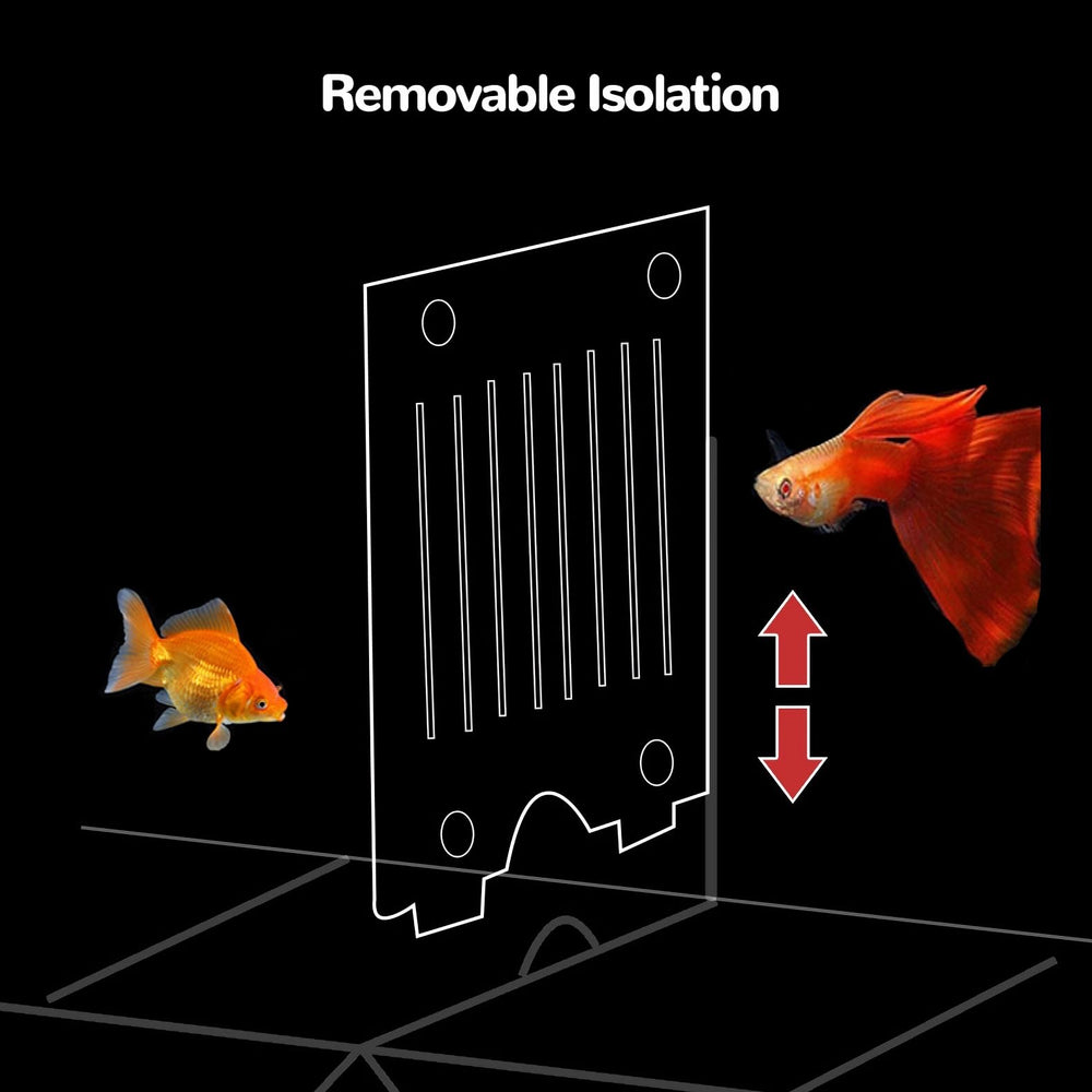 J-star breeding box used for betta or guppy spawning