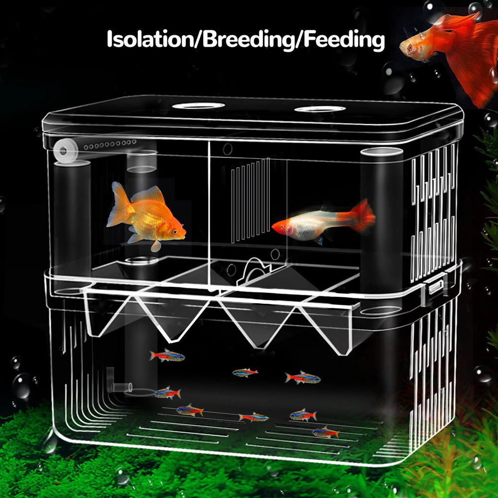 J-star isolation box top feeding hole enables quick feeding without removal