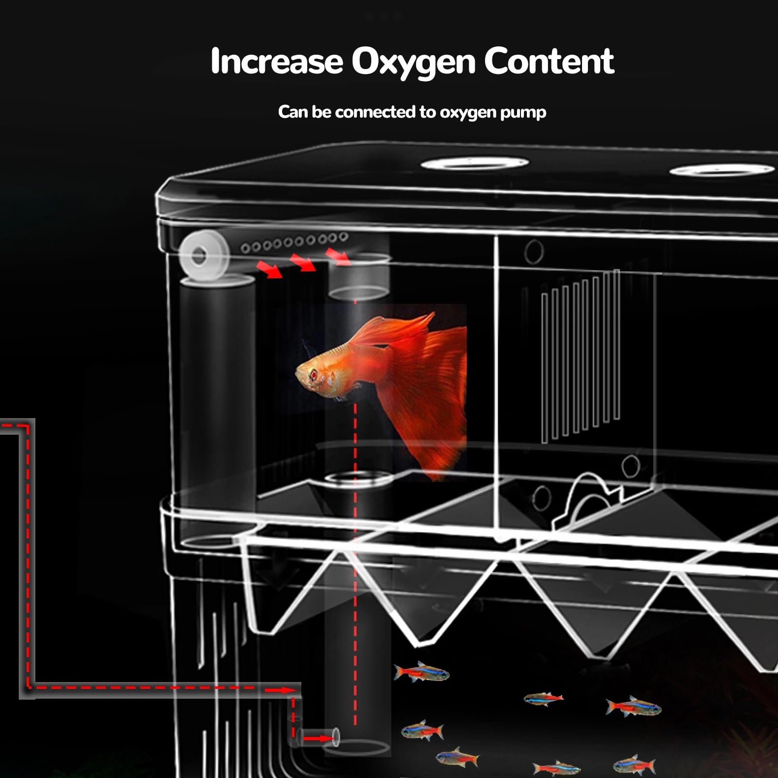 J-star two layer design saves space inside the aquarium