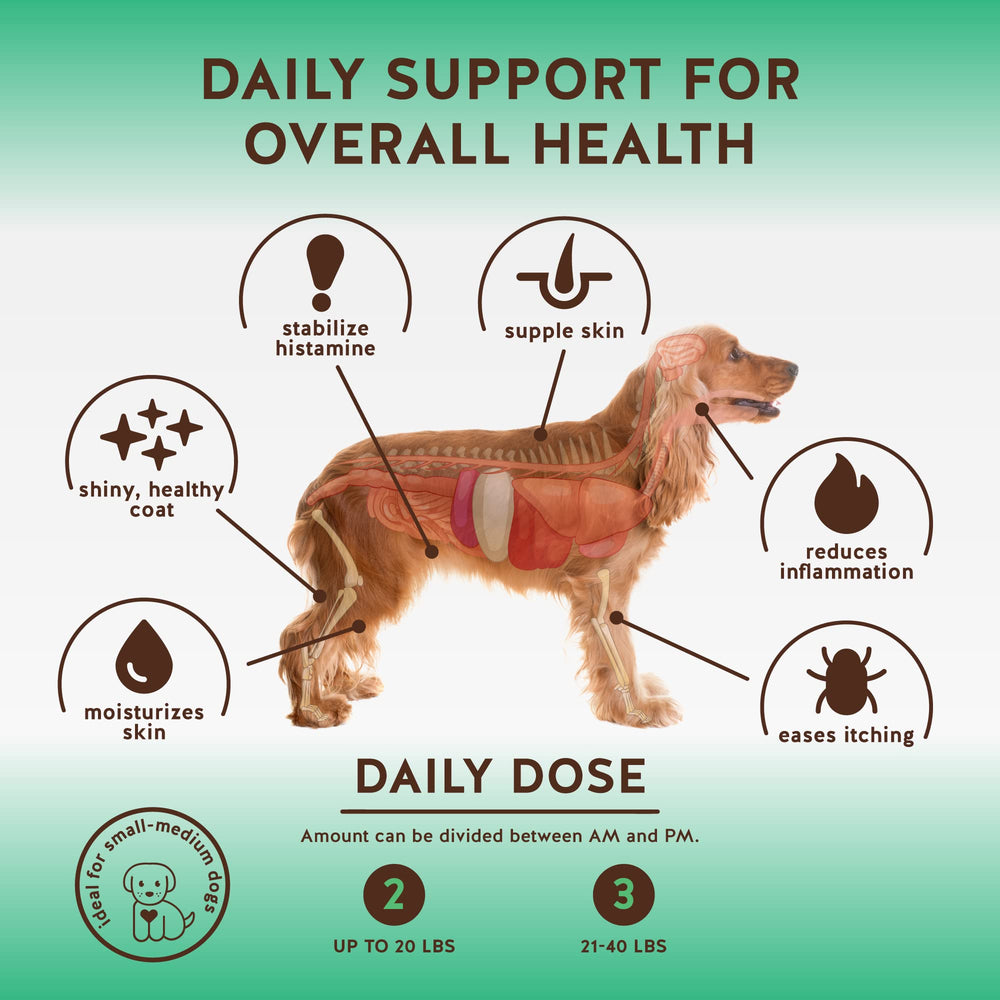Jack&Pup Aller-Care ingredients like quercetin and bromelain support immune comfort.