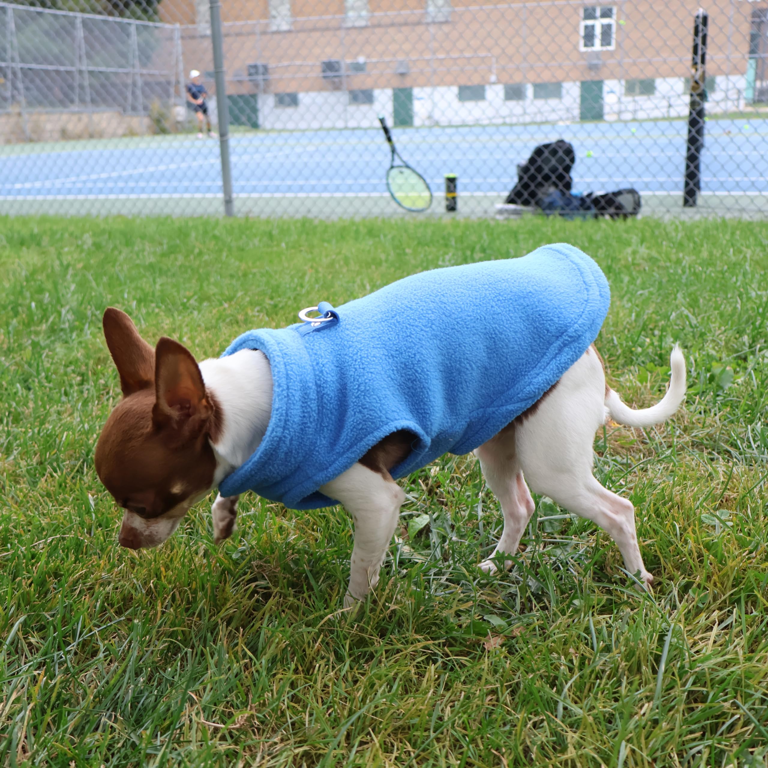 Chaleco Jacko & Co diseño ligero, adecuado para perros pequeños y medianos