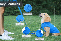 Chaleco Jacko & Co sin velcro para perro, puesta rápida y cómoda