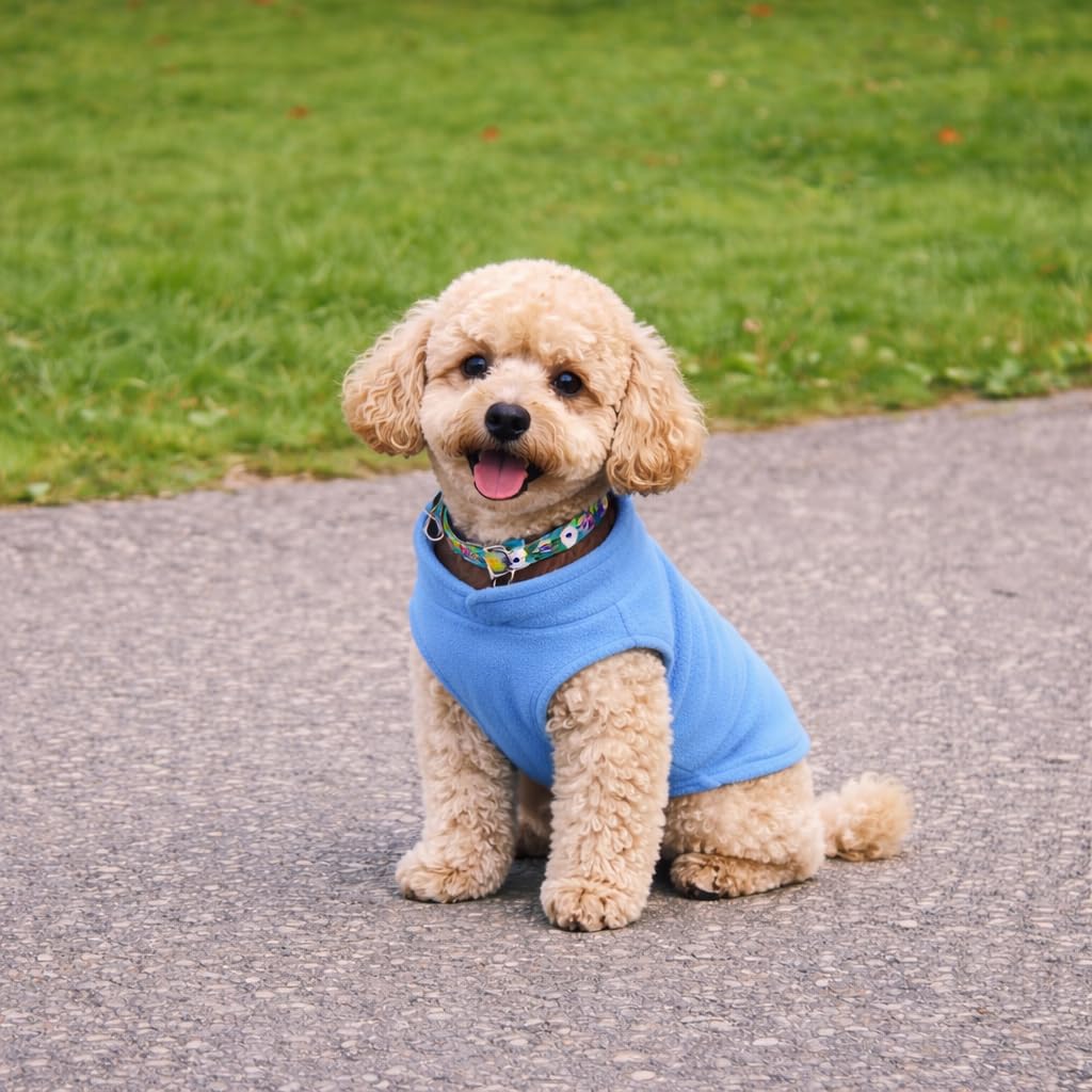 Chaleco Jacko & Co para paseo de otoño, capa cálida ligera