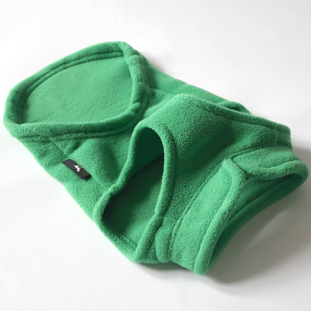 Jacko & Co fleece vest green color worn by small-to-mid dogs
