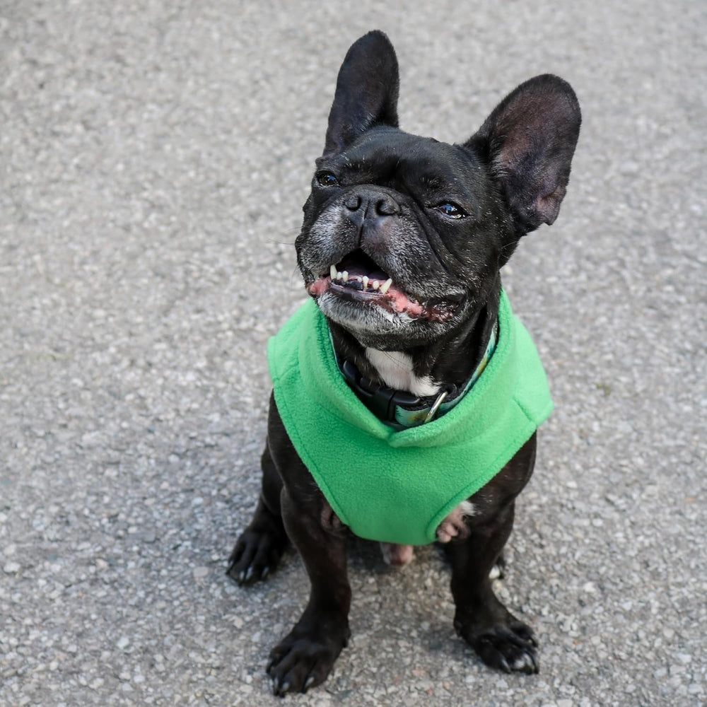 Jacko & Co fleece vest leash clip access enables convenient leash attachment