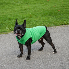 Jacko & Co fleece vest leash ring closeup for easy outdoor walks
