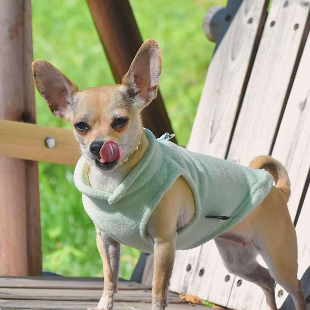 Jacko & Co leash-ring feature on fleece vest enables quick leash access.