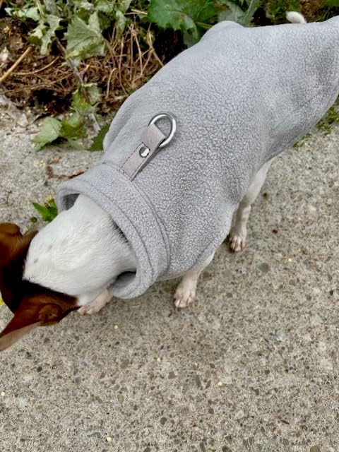 Jacko & Co model wearing grey vest demonstrates suitable fit for small to medium pets.