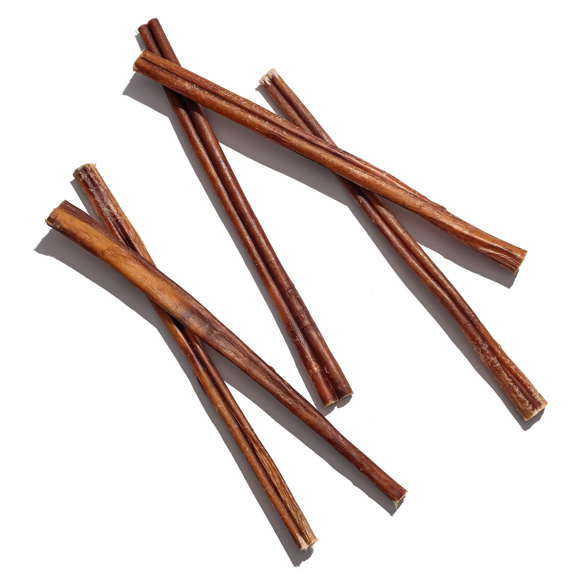 JackPup 12-inch bully sticks pack in hand demonstrates convenient five-pack
