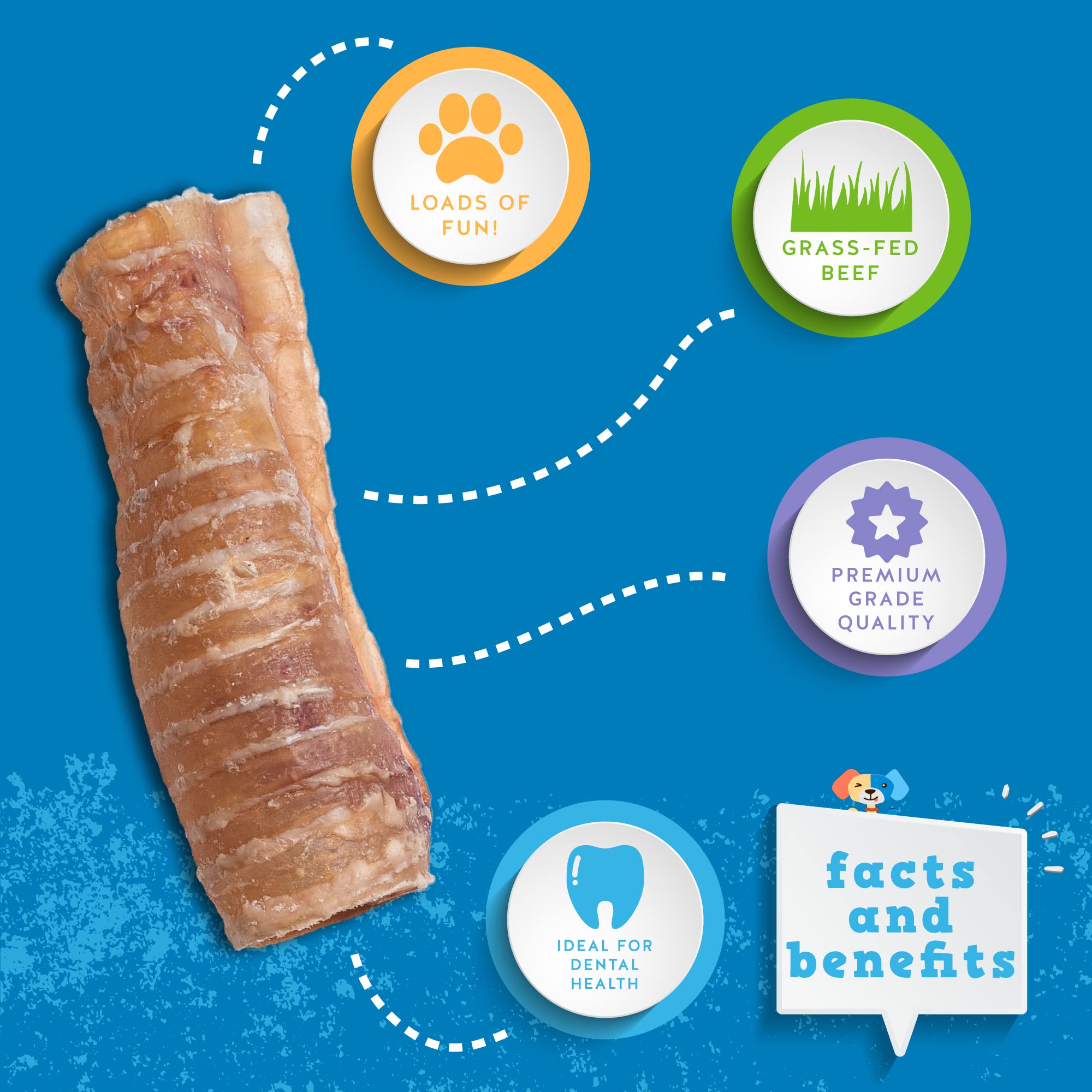 Jack&Pup beef trachea 6in pack dog-chewing demonstrates engaging chew time
