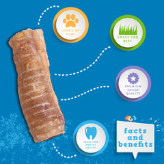 Jack&Pup beef trachea 6in pack dog-chewing demonstrates engaging chew time