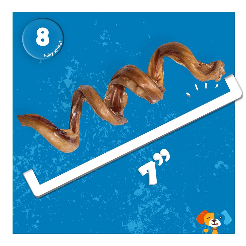Jack&Pup Bully Springs 7in spiral dog-chew-action demonstrates canine engagement during chewing.