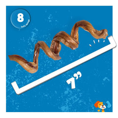 Jack&Pup Bully Springs 7in spiral dog-chew-action demonstrates canine engagement during chewing.