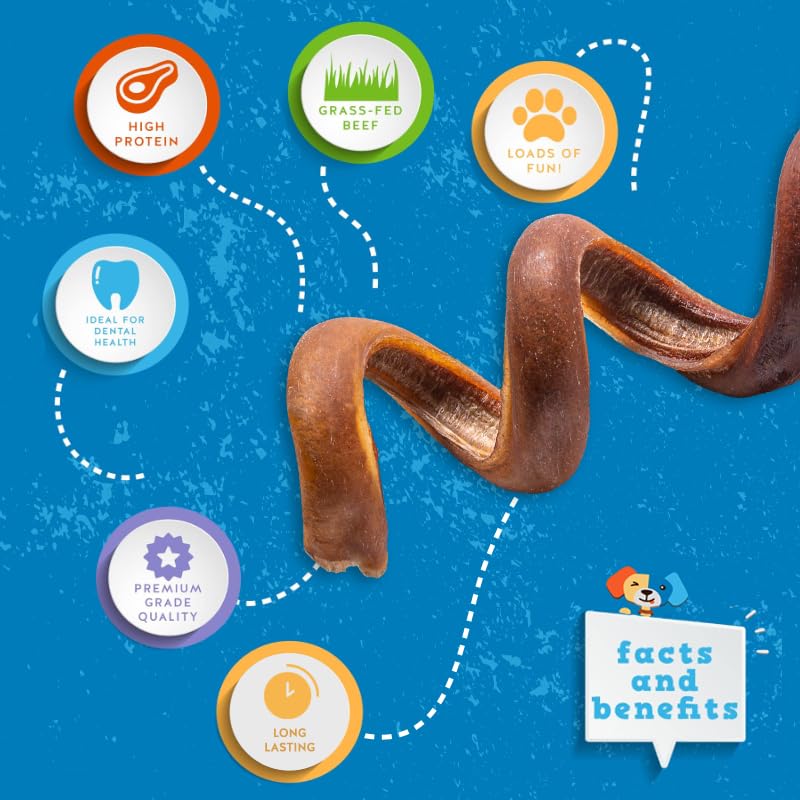 Jack&Pup Bully Springs rawhide-free closeup highlights single-ingredient chews easy to digest.