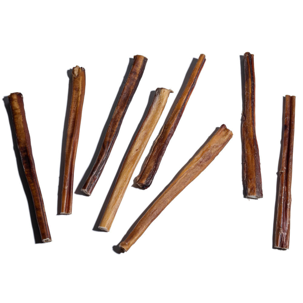 Close-up of Jack&Pup bully stick texture showing natural beef flavor