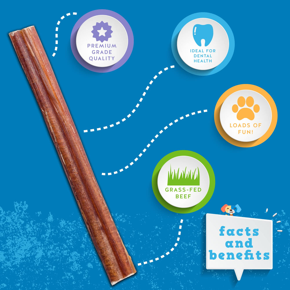 Jack&Pup bully sticks in action during dog chew session for healthy play.