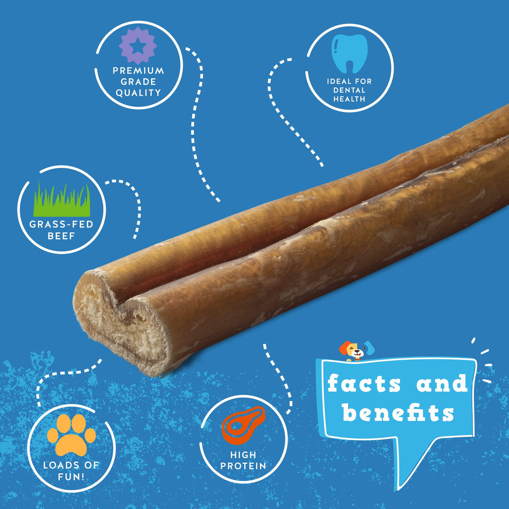 Jack&Pup odor-free bully stick closeup highlights clean chewing experience.