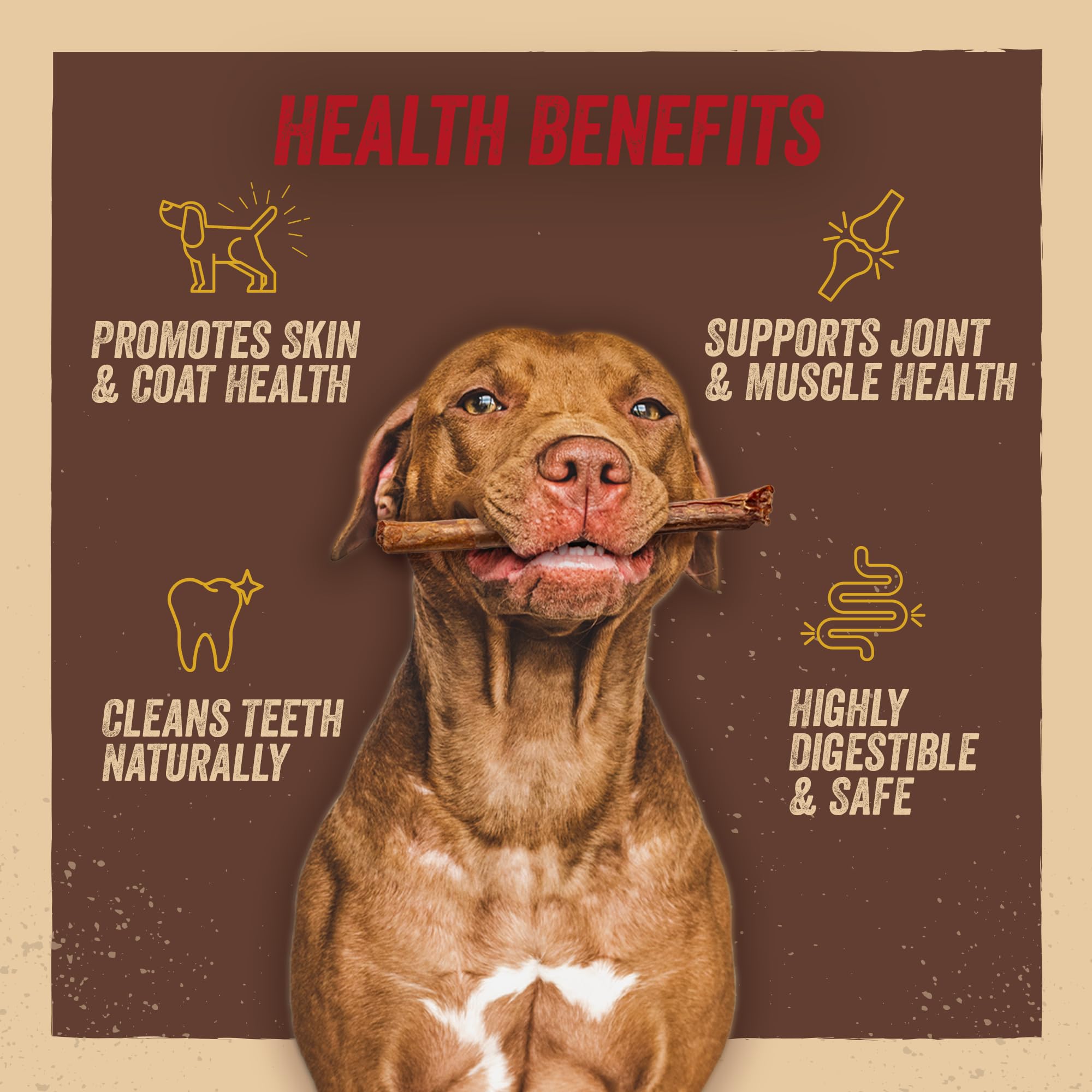 Jack&Pup odor-free chew enhances longer, more pleasant chewing sessions.