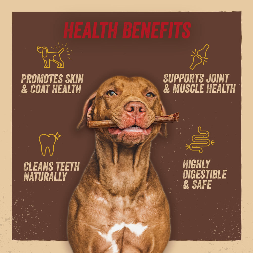 Jack&Pup odor-free chew enhances longer, more pleasant chewing sessions.