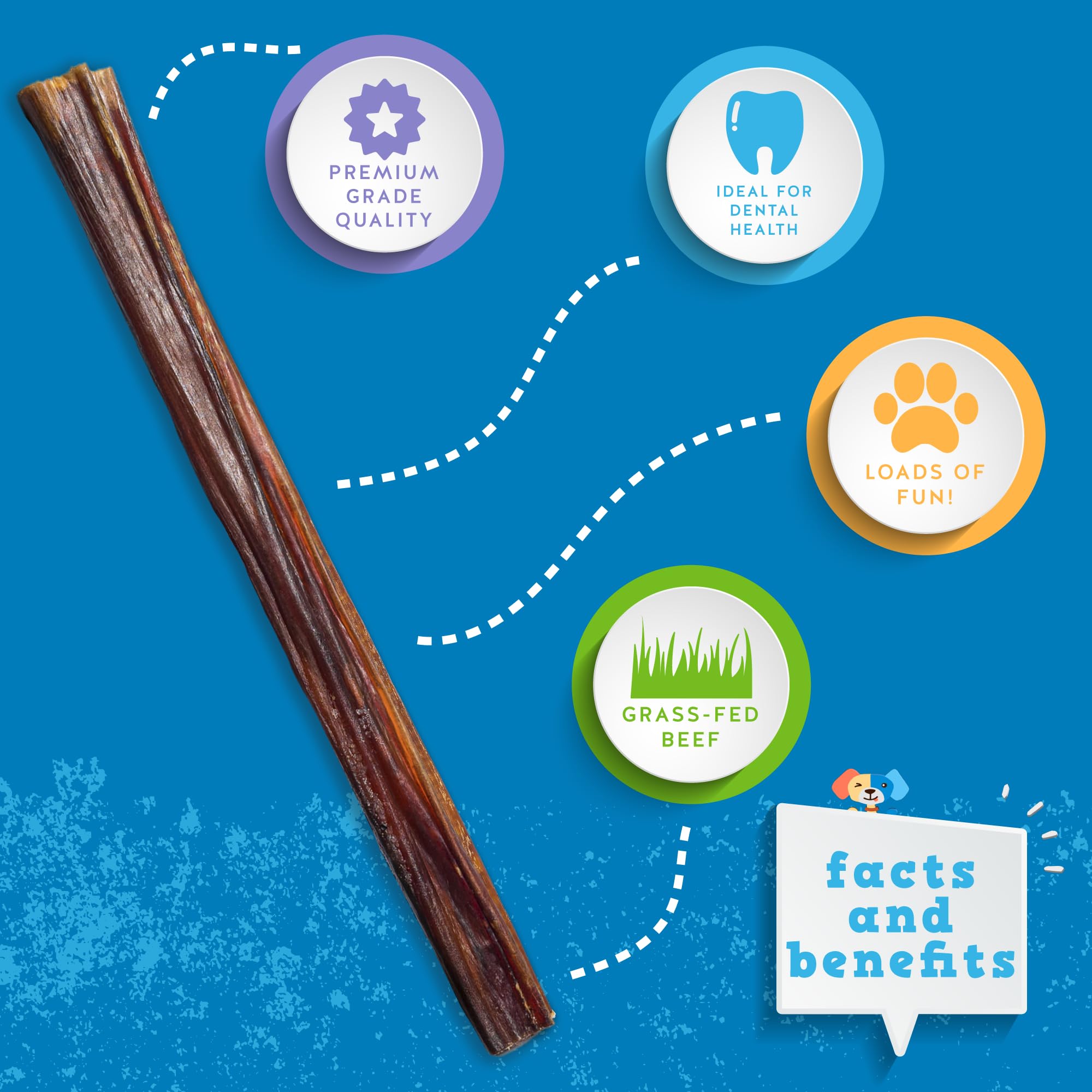 Jack&Pup puppy chewing on bully stick highlighting natural flavor and teething relief.