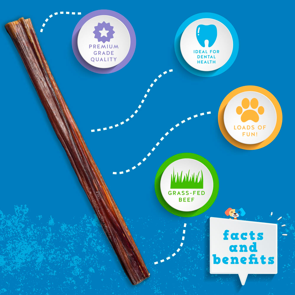 Jack&Pup puppy chewing on bully stick highlighting natural flavor and teething relief.