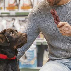 Jack&Pup rawhide-free dog chews image demonstrates single-ingredient collagen option