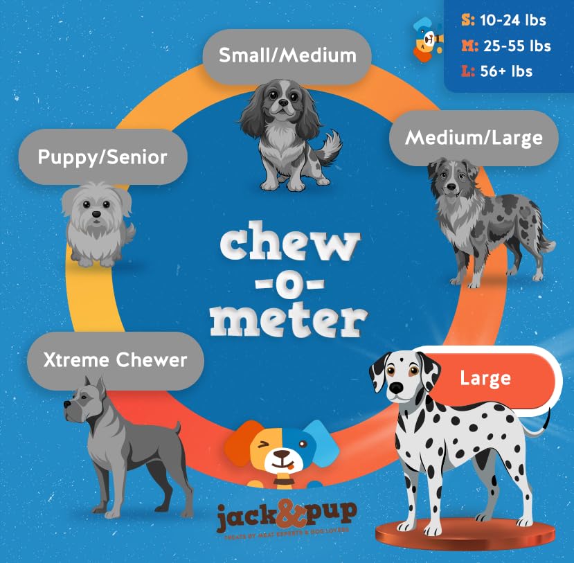 Jack&Pup teeth and gums health chew detail during chewing.