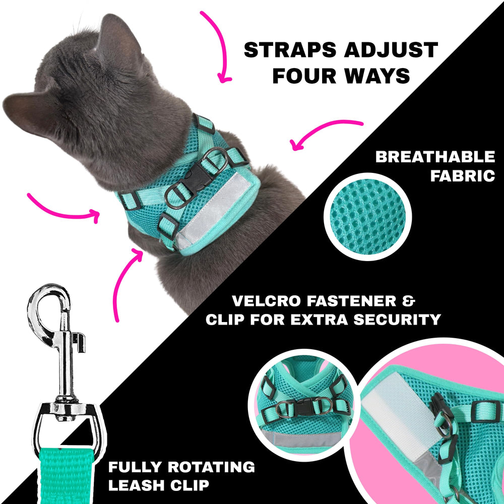 Jackson Galaxy Travel Cat Harness Leash Set closeup for secure walks.
