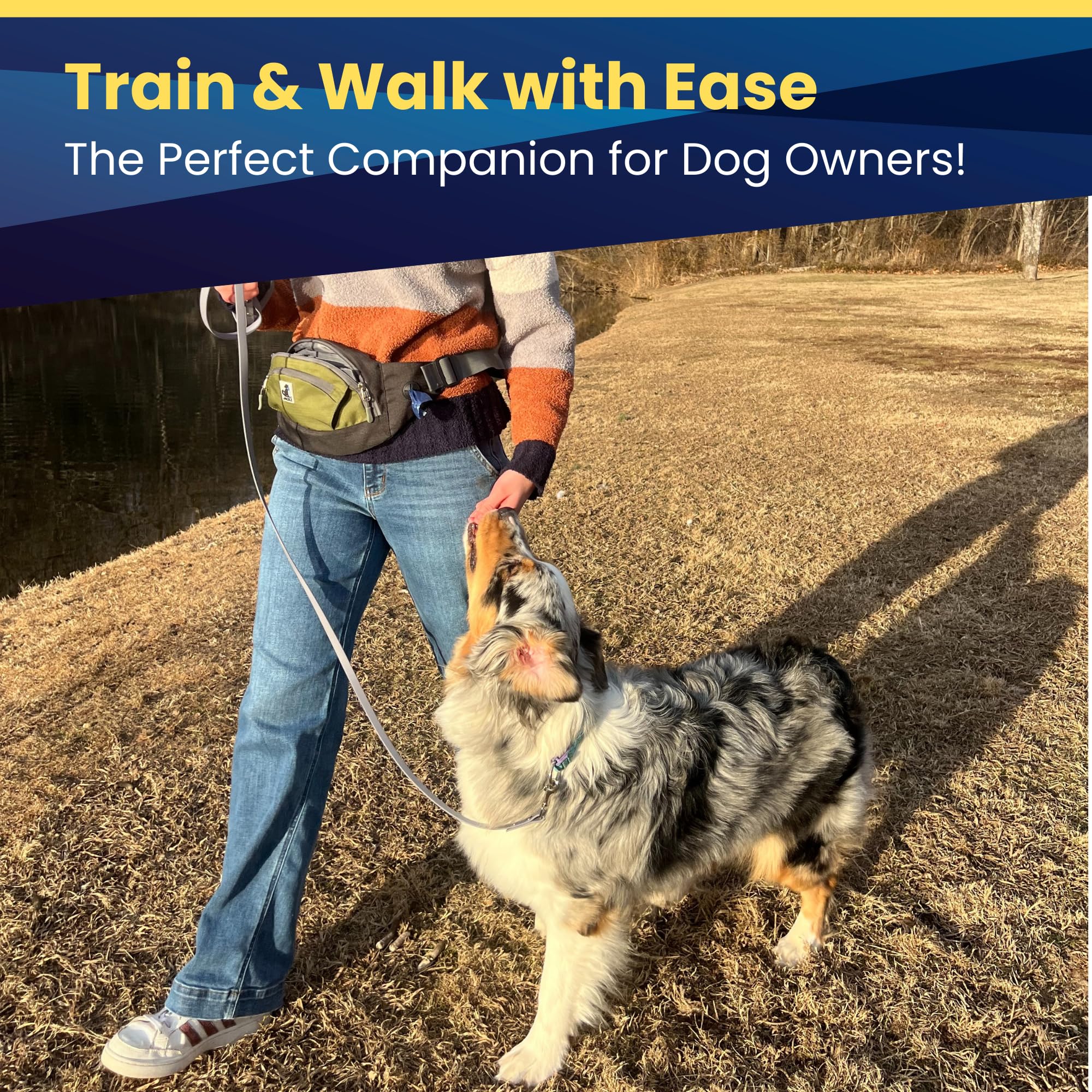 JackZ dog-walking accessory elevates style and practicality for pet parents