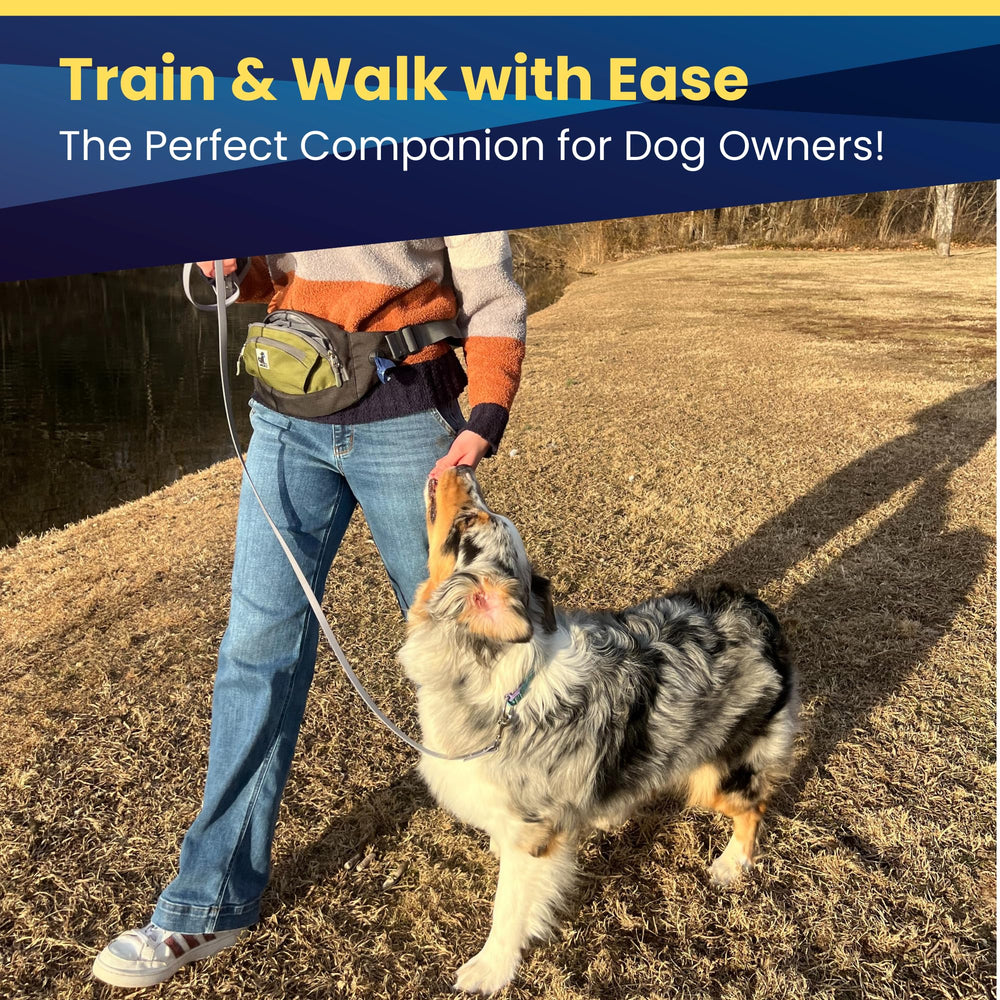 JackZ dog-walking accessory elevates style and practicality for pet parents