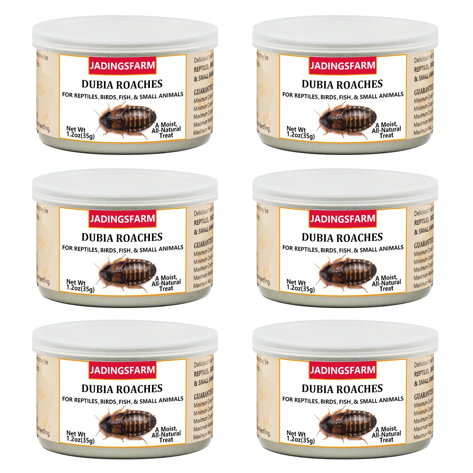 JADINGSFARM 6-pack Dubia roaches in can, convenient high-protein pet treats.