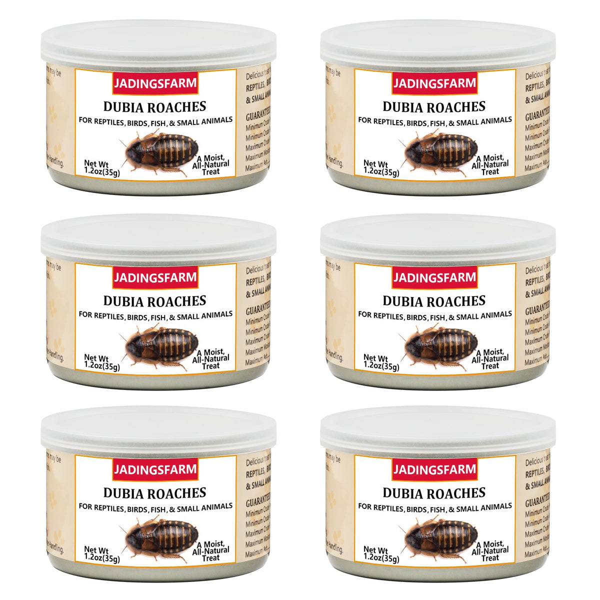 JADINGSFARM 6-pack Dubia roaches in can, convenient high-protein pet treats.