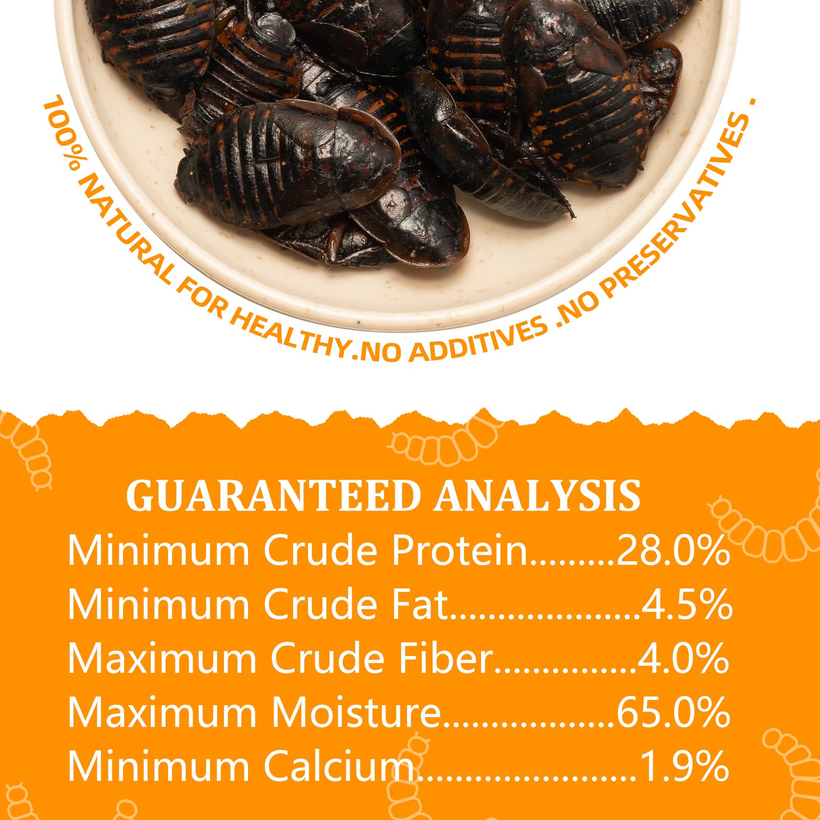 JADINGSFARM Dubia roaches farm-raised protein for a natural diet.