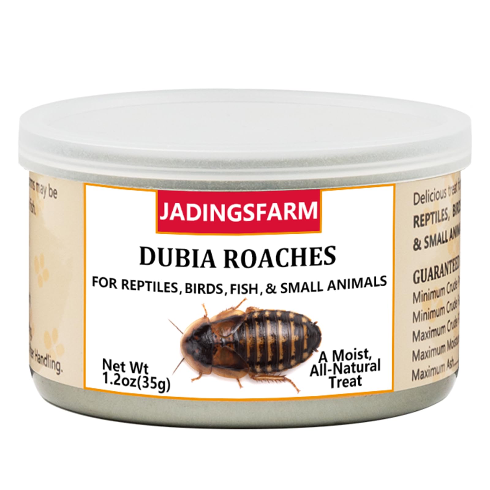 JADINGSFARM Dubia roaches sealed can preserving freshness for pets.