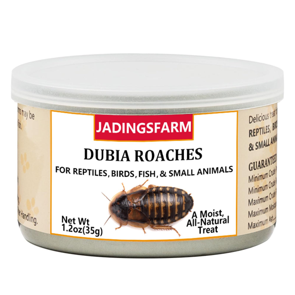 JADINGSFARM Dubia roaches sealed can preserving freshness for pets.