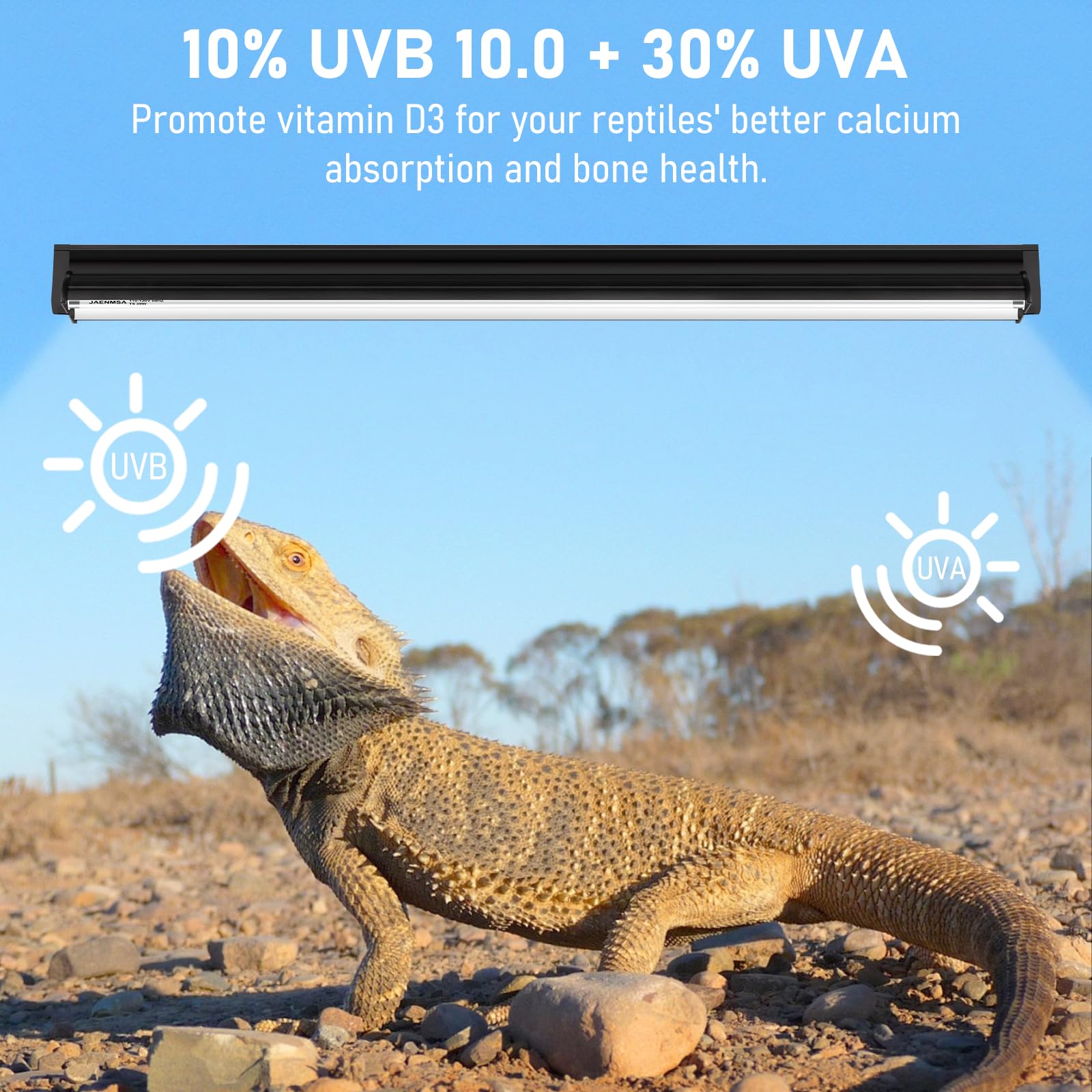 Bearded dragon setup with Jaenmsa T5 10.0 UVB supporting basking