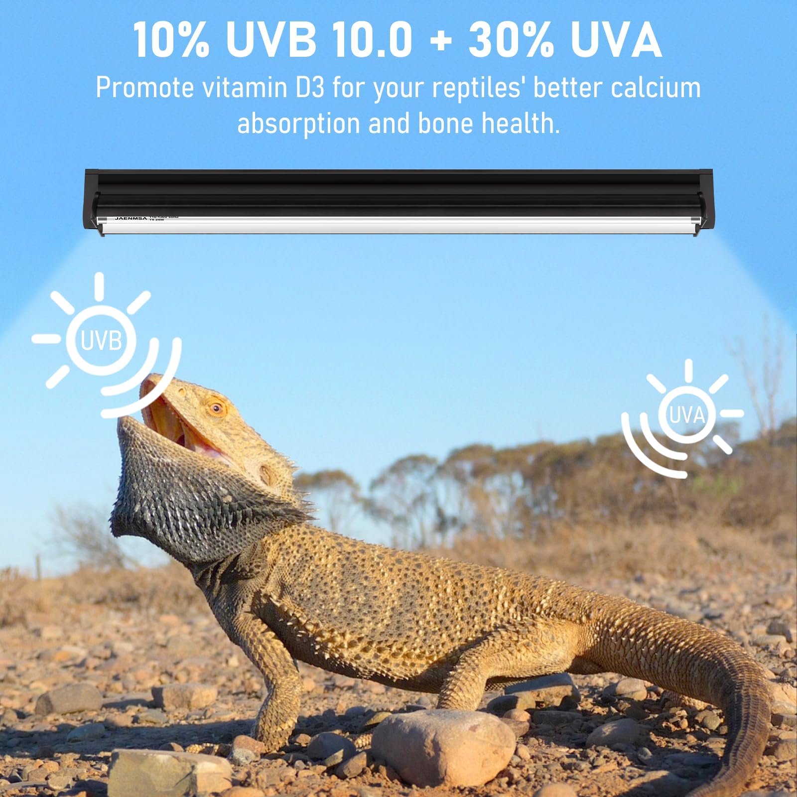 Jaenmsa desert-dwelling reptiles compatibility supports bearded dragons, leopard geckos, and tortoises.