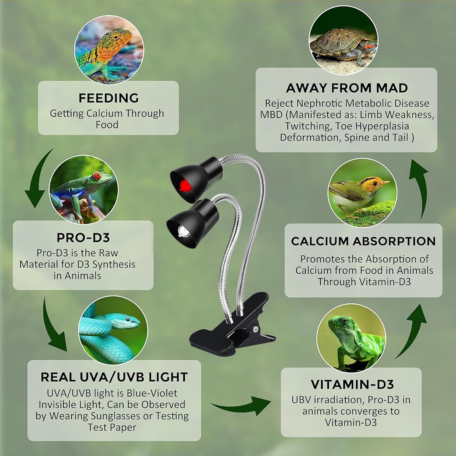 Jaenmsa reptile basking lamp clamp keeps the fixture secure during setup.