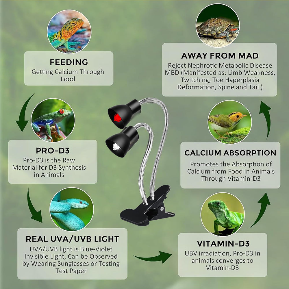 Jaenmsa reptile basking lamp clamp keeps the fixture secure during setup.