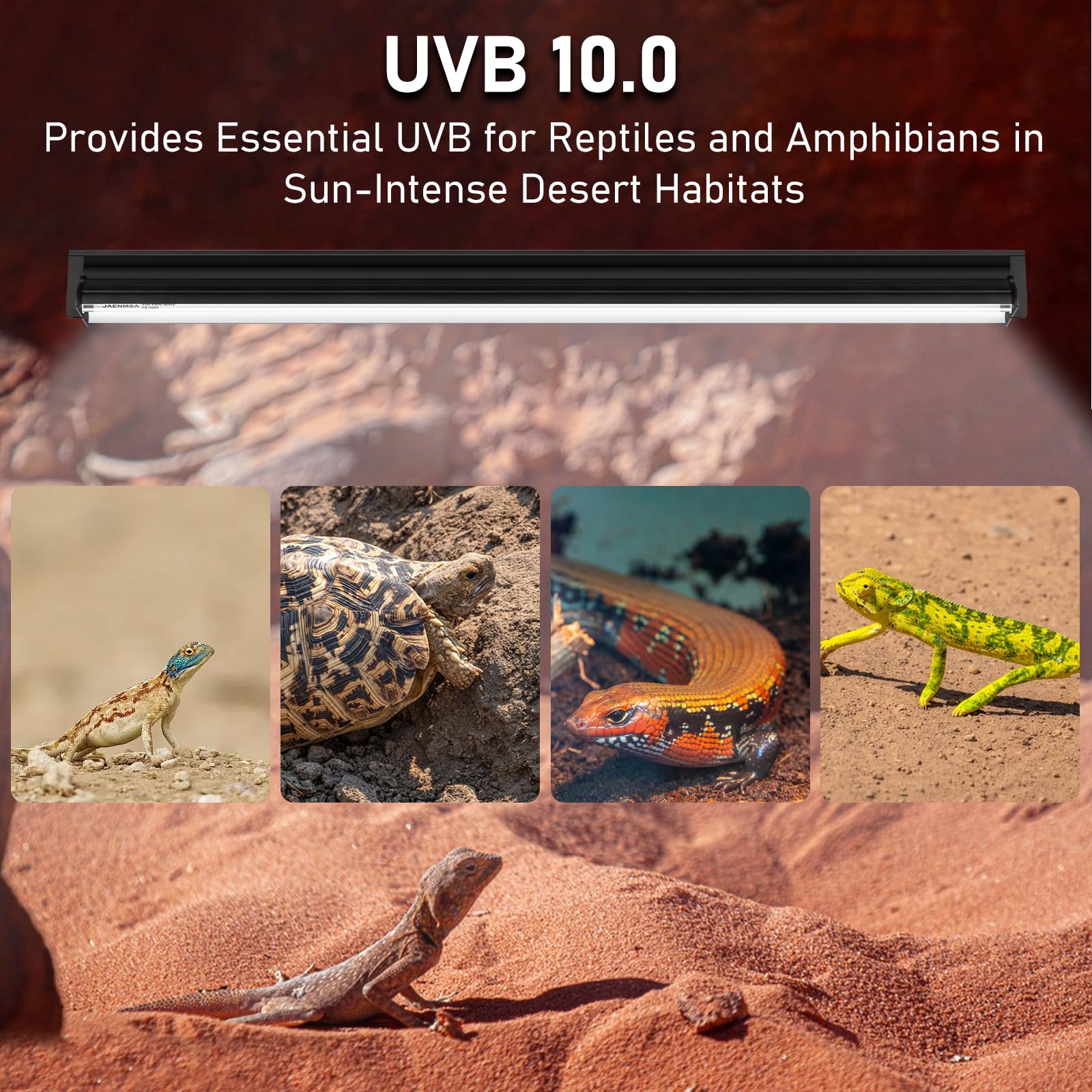 Jaenmsa T5 10.0 UVB 34-inch tube installed for reptile habitat