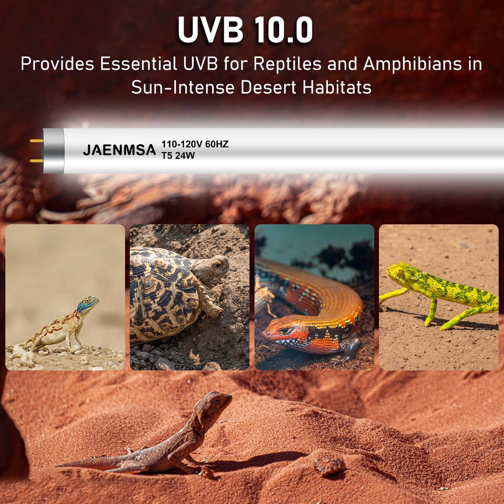 Jaenmsa two-pack 24W T5 UVB 10.0 promotes appetite and activity in reptiles.