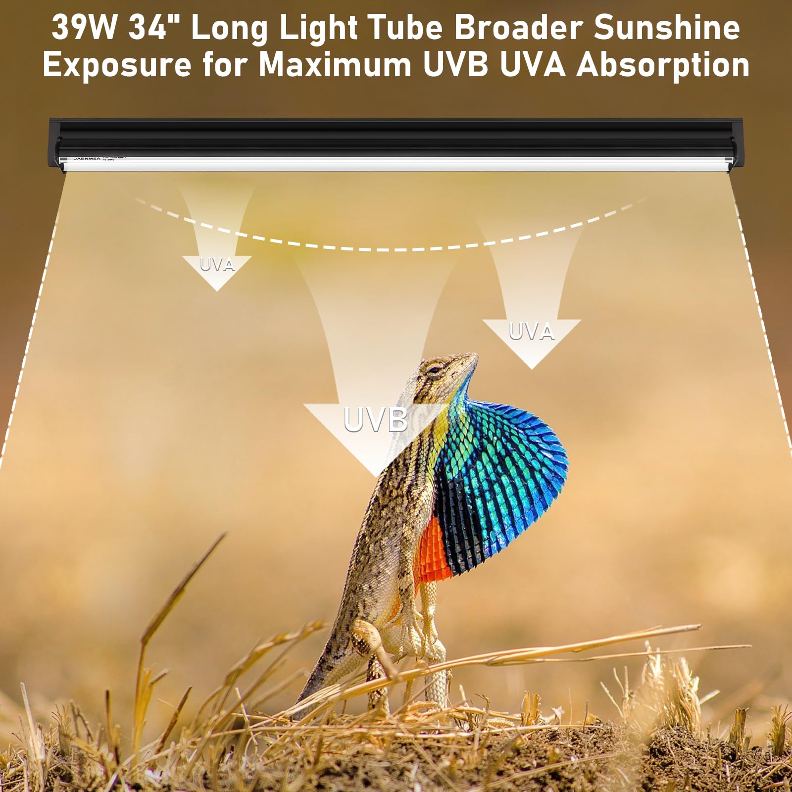 Jaenmsa UVB 10.0 UVA spectrum shown for reptile activity and visibility