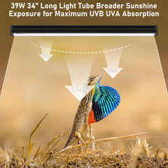 Jaenmsa UVB 10.0 UVA spectrum shown for reptile activity and visibility