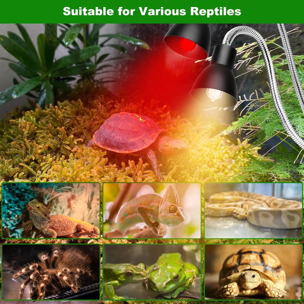 Jaenmsa UVB light supports UV exposure for calcium absorption in reptiles.