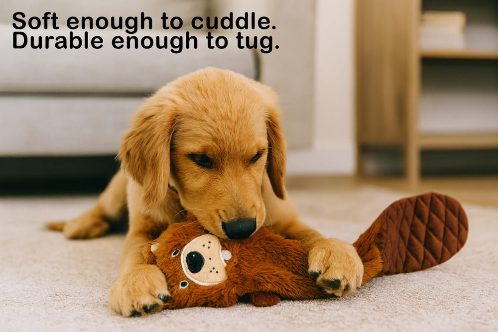 Jalousie otter squeaky toy in use for fetch and chew fun