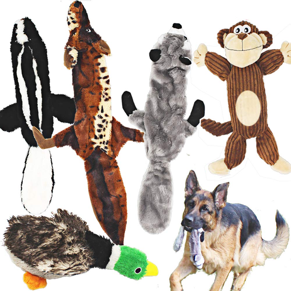 Jalousie 5 Pack raccoon no-stuffing squeaky toy for interactive play